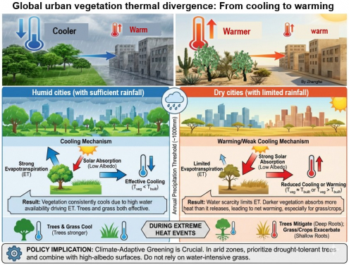 HKU Geography Research Reveals the “Warming Paradox” of Urban Greenery